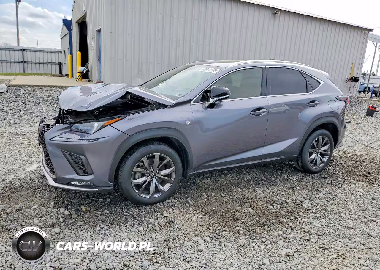 2020 Lexus Nx 300 F Sport
