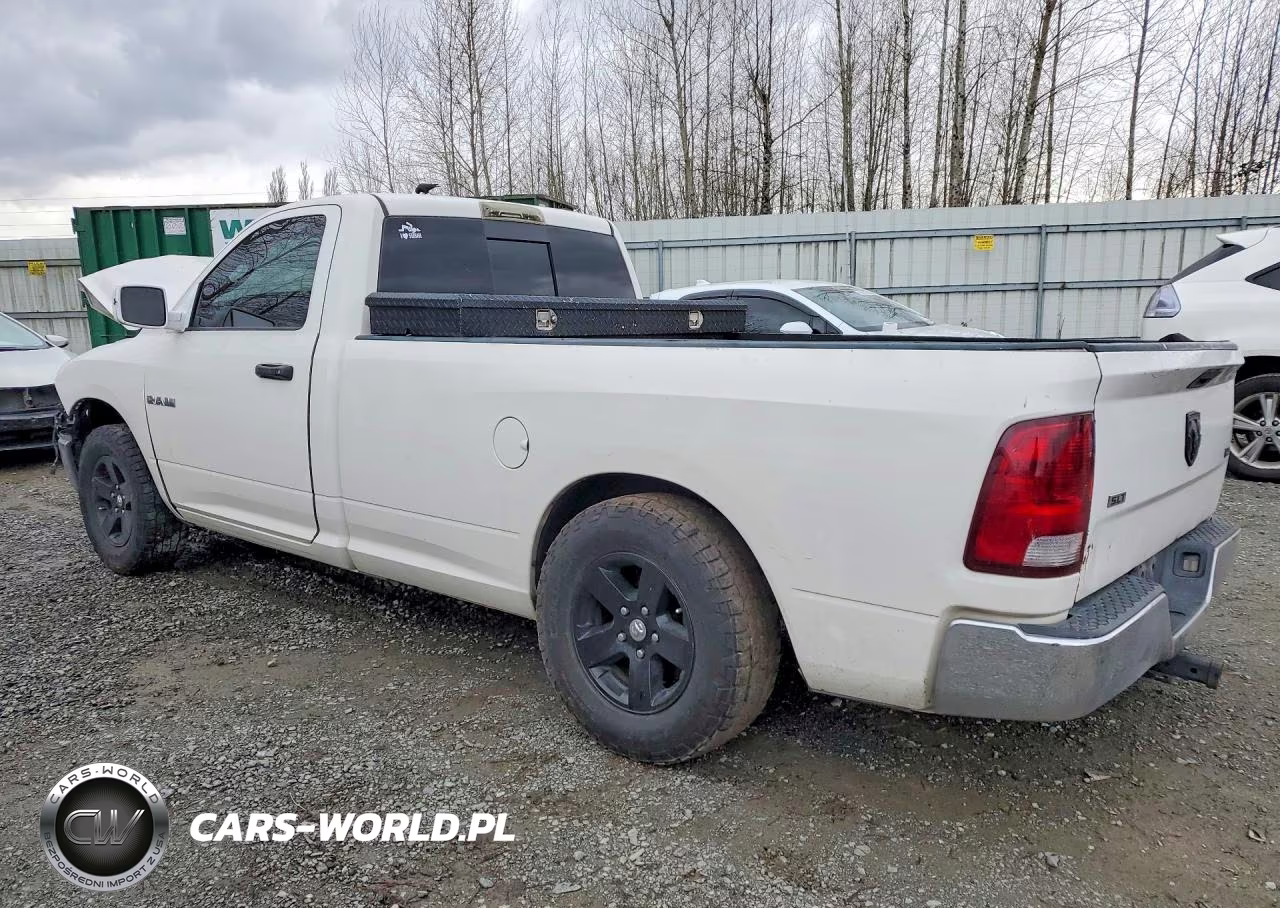 2009 Dodge Ram1500 VIN:1D3HB16P69J516529 - 2