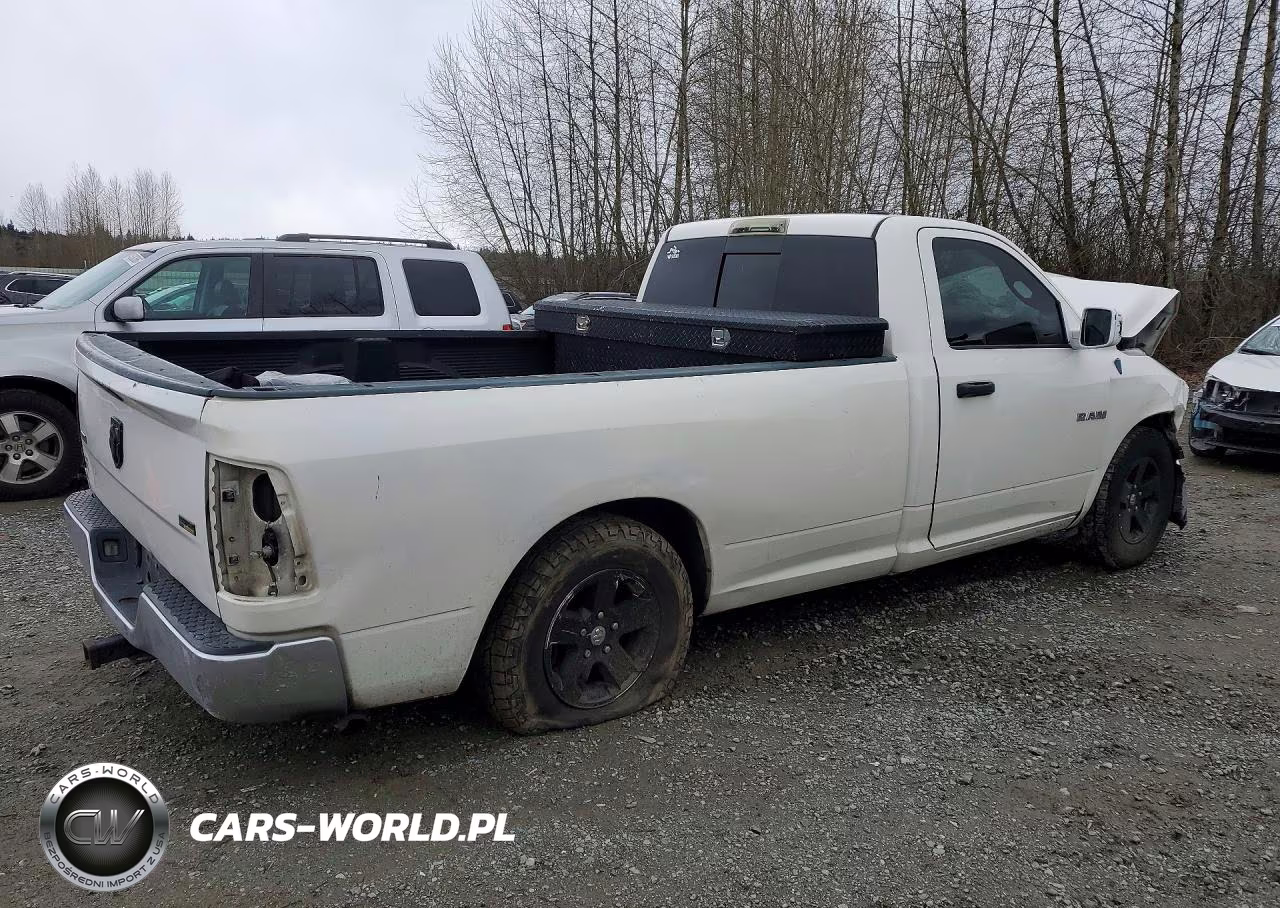 2009 Dodge Ram1500 VIN:1D3HB16P69J516529 - 3