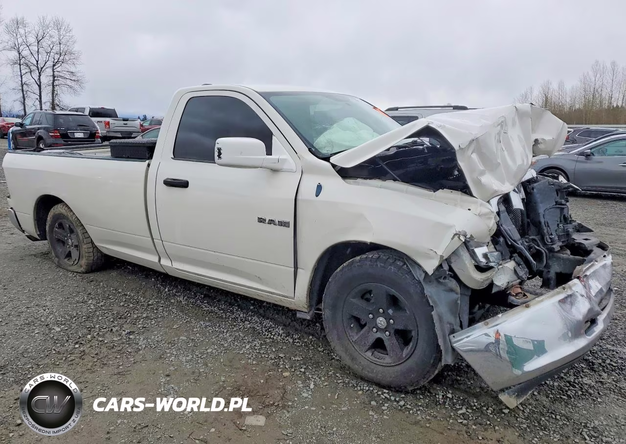 2009 Dodge Ram1500 VIN:1D3HB16P69J516529 - 4