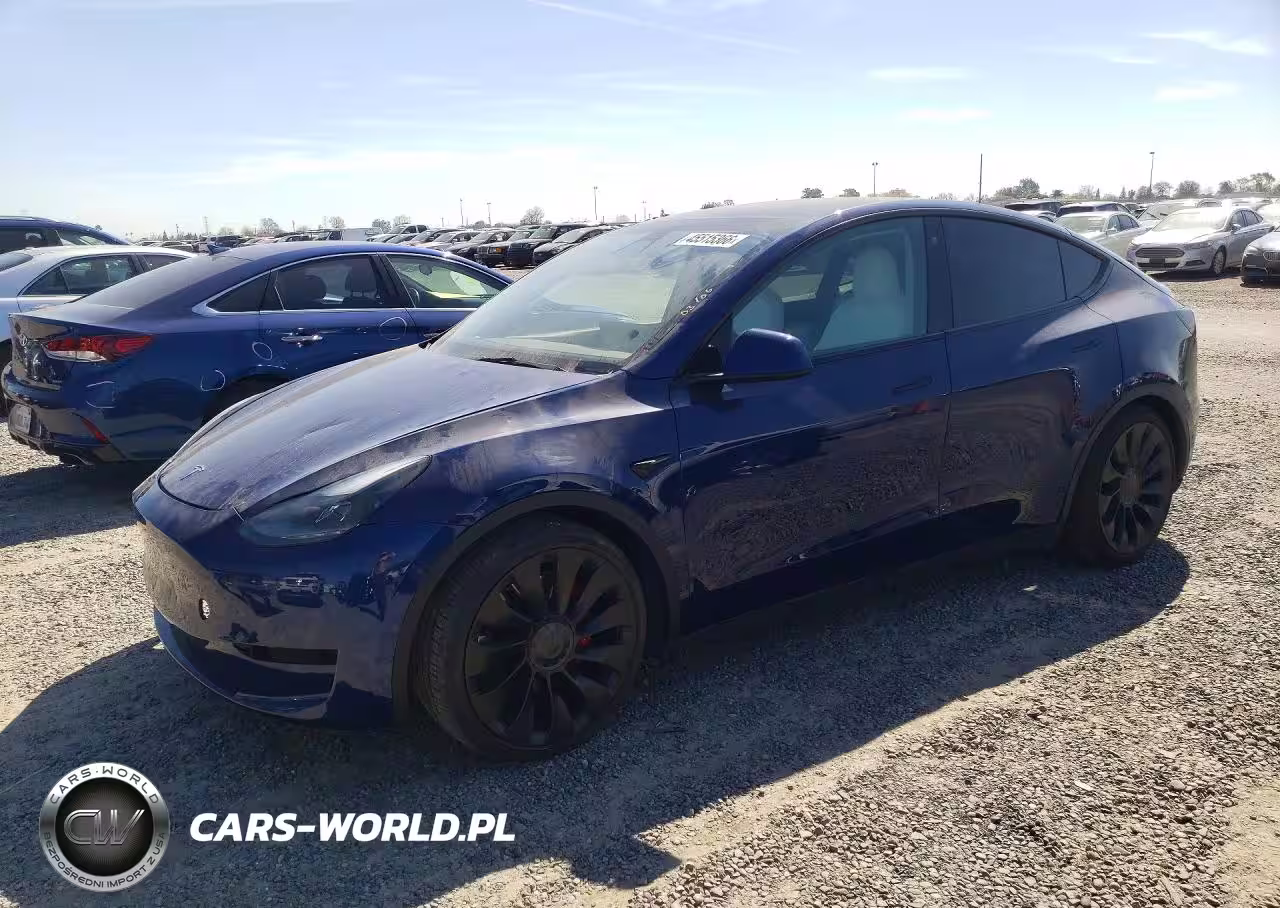 2022 Tesla Model Y Performance Dual Motor All-Wheel Drive