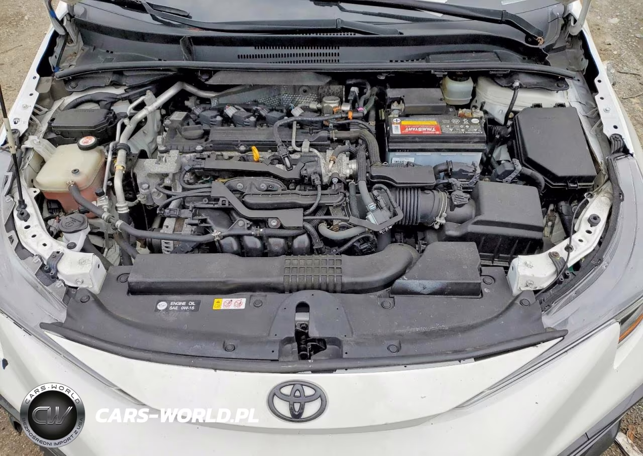 2020 Toyota Corolla Se VIN:JTDS4RCEXLJ045177 - 11