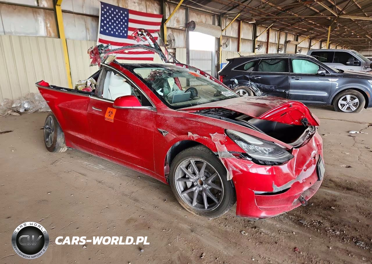 2020 Tesla Model 3 Standard Range Plus Rear-Wheel Drive-Standard Range Rear-Wheel Drive VIN:5YJ3E1EA2LF793183 - 4