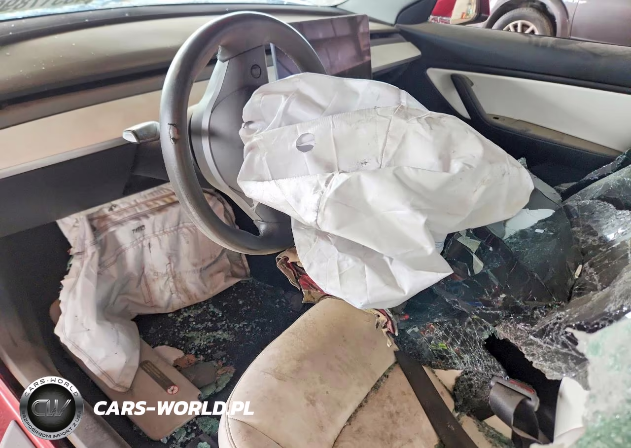 2020 Tesla Model 3 Standard Range Plus Rear-Wheel Drive-Standard Range Rear-Wheel Drive VIN:5YJ3E1EA2LF793183 - 8