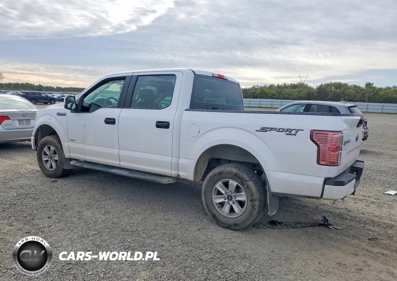 2015 Ford F150 Supercrew VIN:1FTEW1EP2FKD40313 - 2