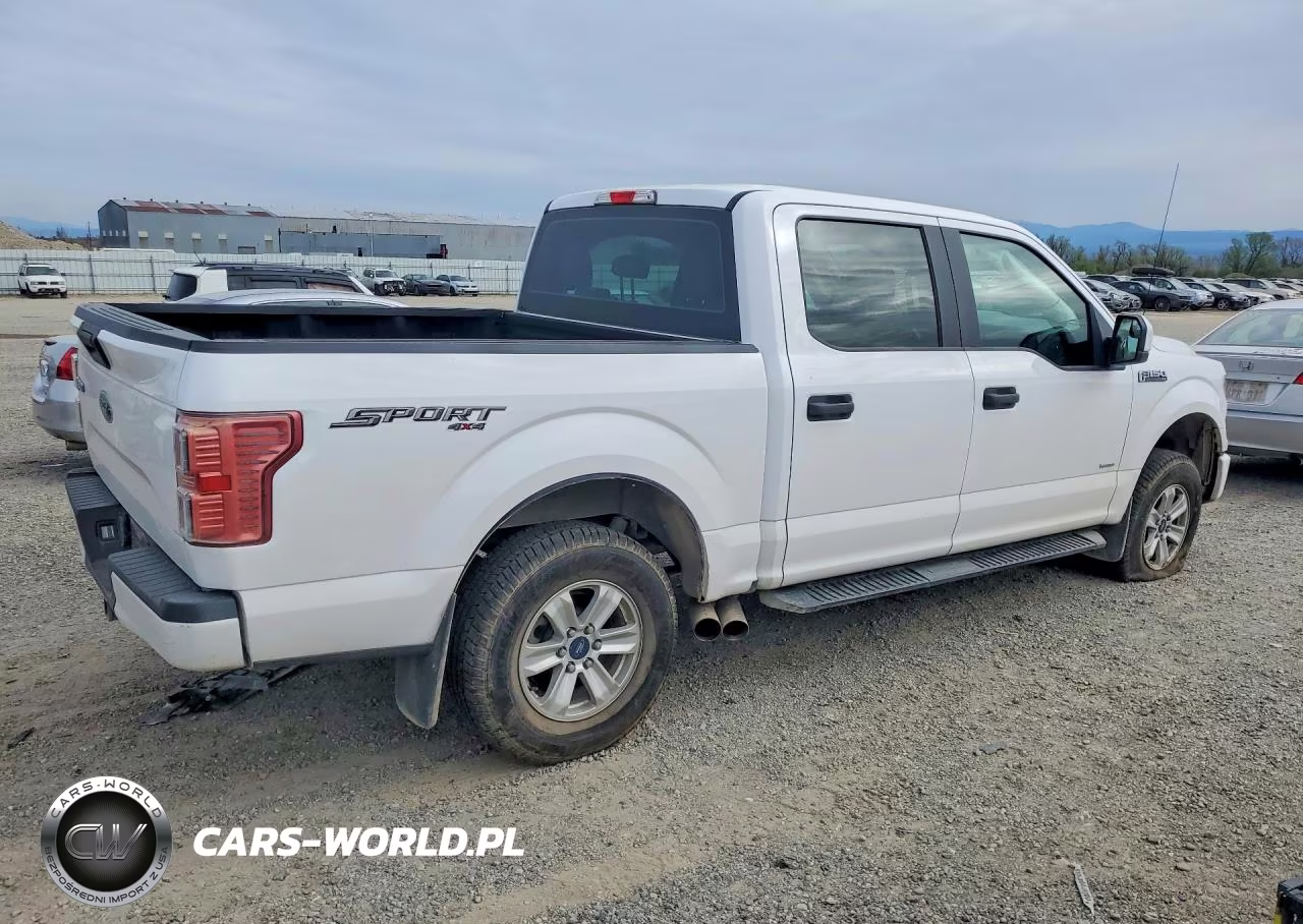 2015 Ford F150 Supercrew VIN:1FTEW1EP2FKD40313 - 3