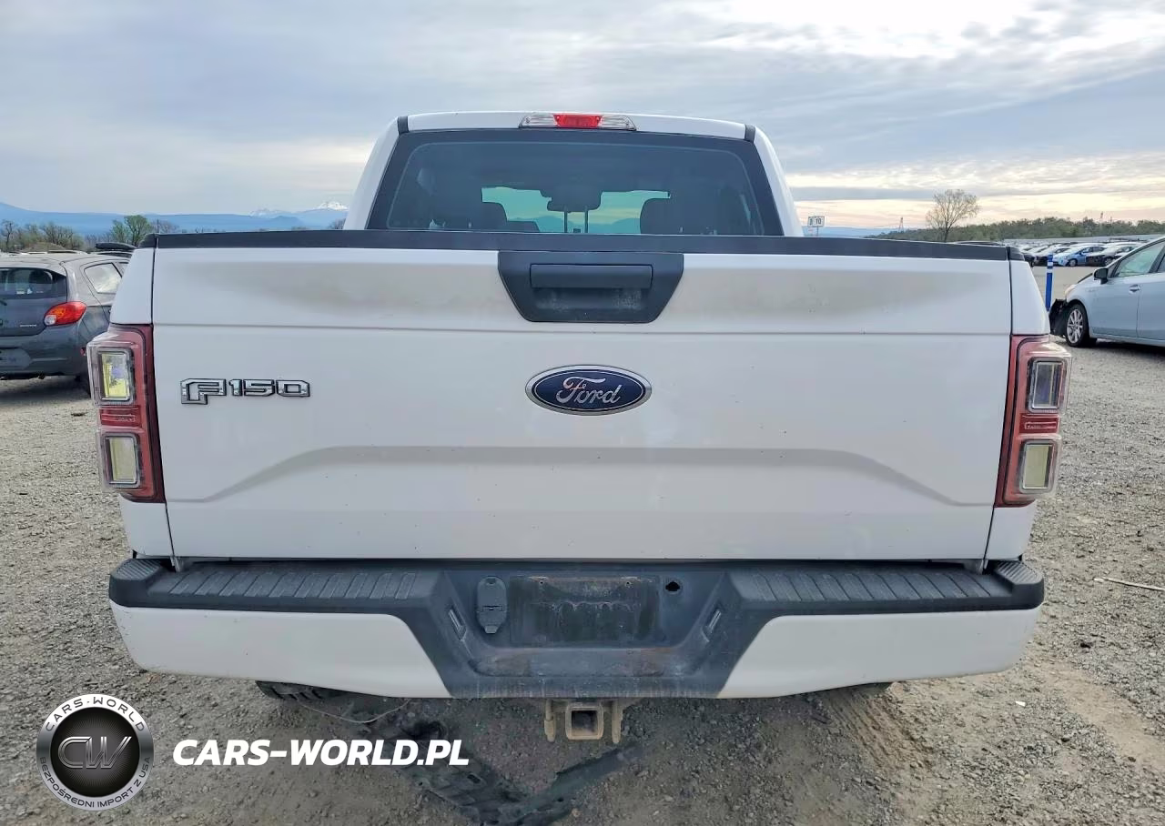 2015 Ford F150 Supercrew VIN:1FTEW1EP2FKD40313 - 6