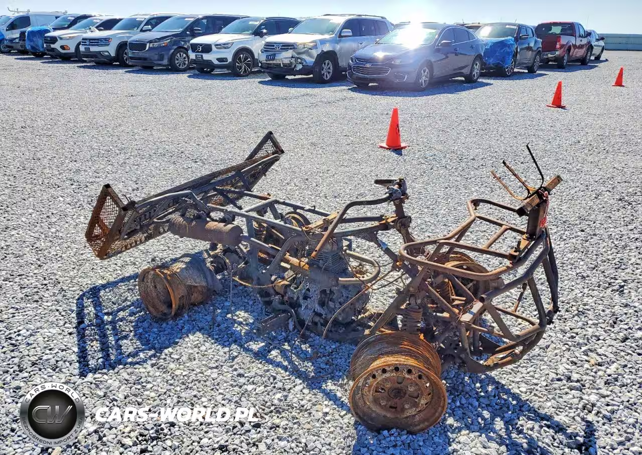 2013 Honda Trx250 Tm Utility Vehicle