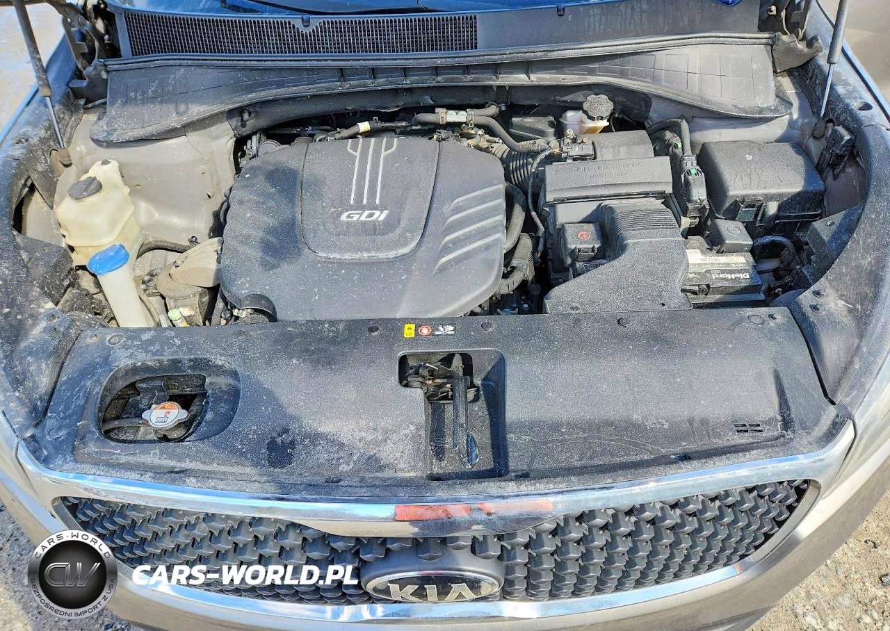 2017 Kia Sorento Lx V6 VIN:5XYPGDA54HG223448 - 12