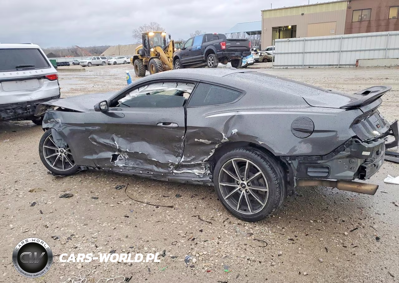 2019 Ford Mustang VIN:1FA6P8TH0K5115165 - 2