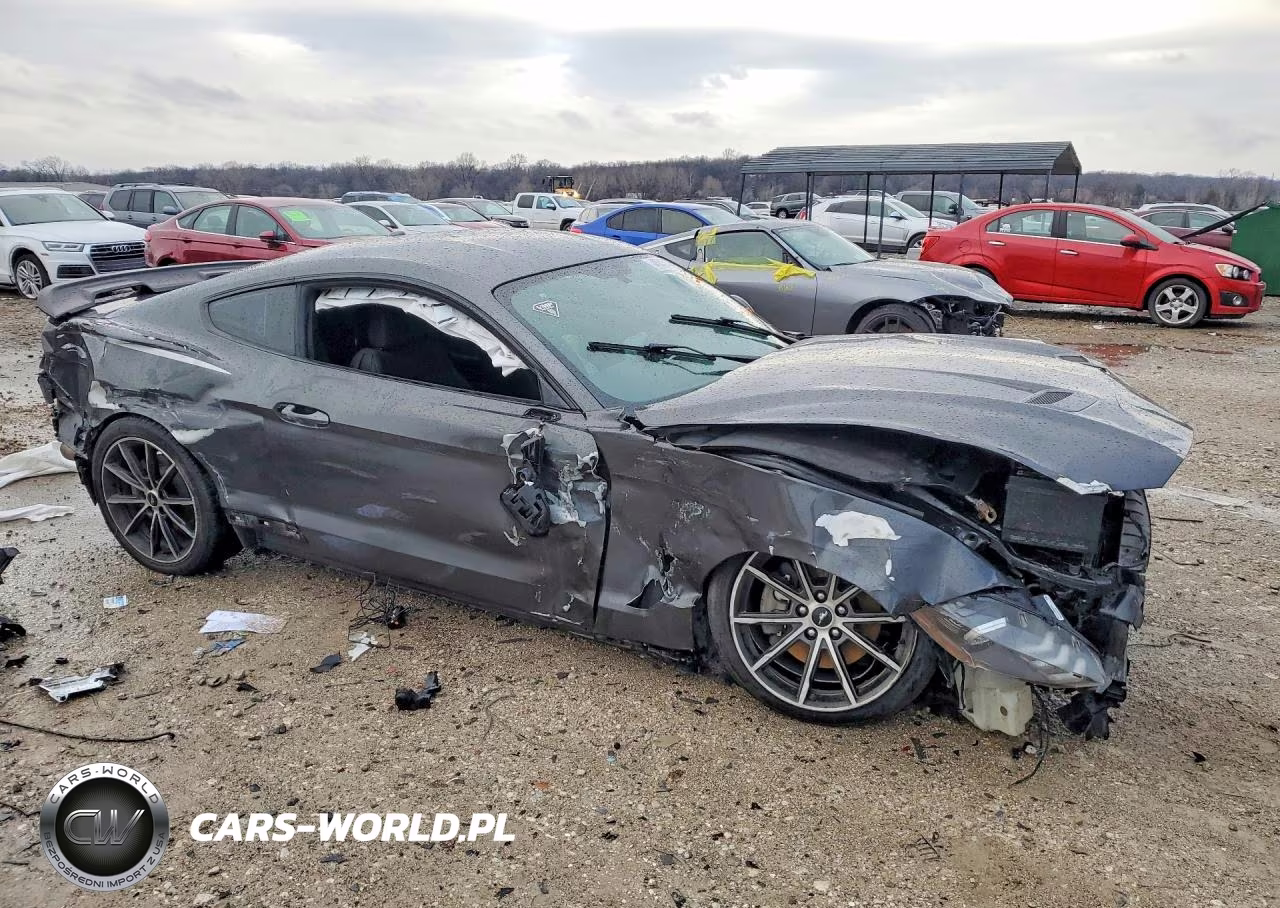 2019 Ford Mustang VIN:1FA6P8TH0K5115165 - 4