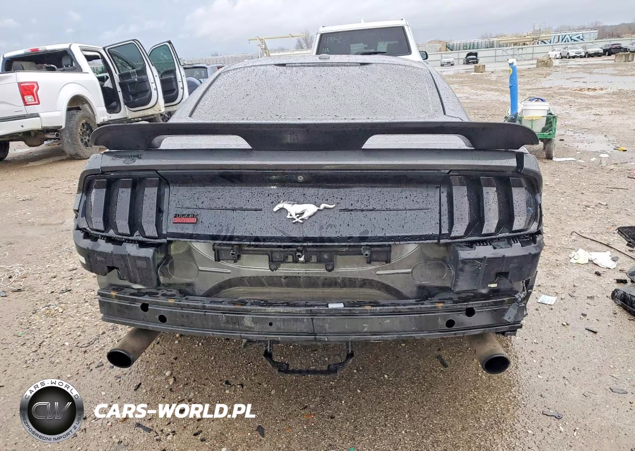 2019 Ford Mustang VIN:1FA6P8TH0K5115165 - 6