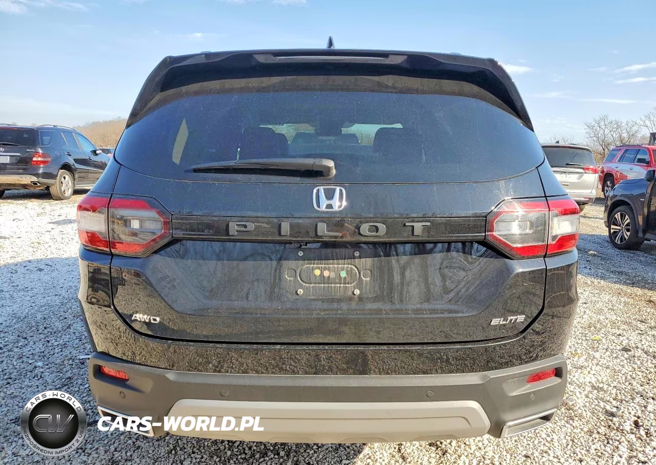 2023 Honda Pilot Elite VIN:5FNYG1H89PB018104 - 6