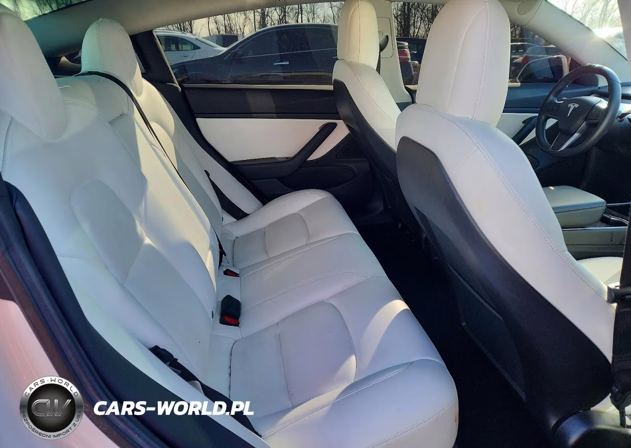 2019 Tesla Model 3 VIN:5YJ3E1EB6KF494934 - 10
