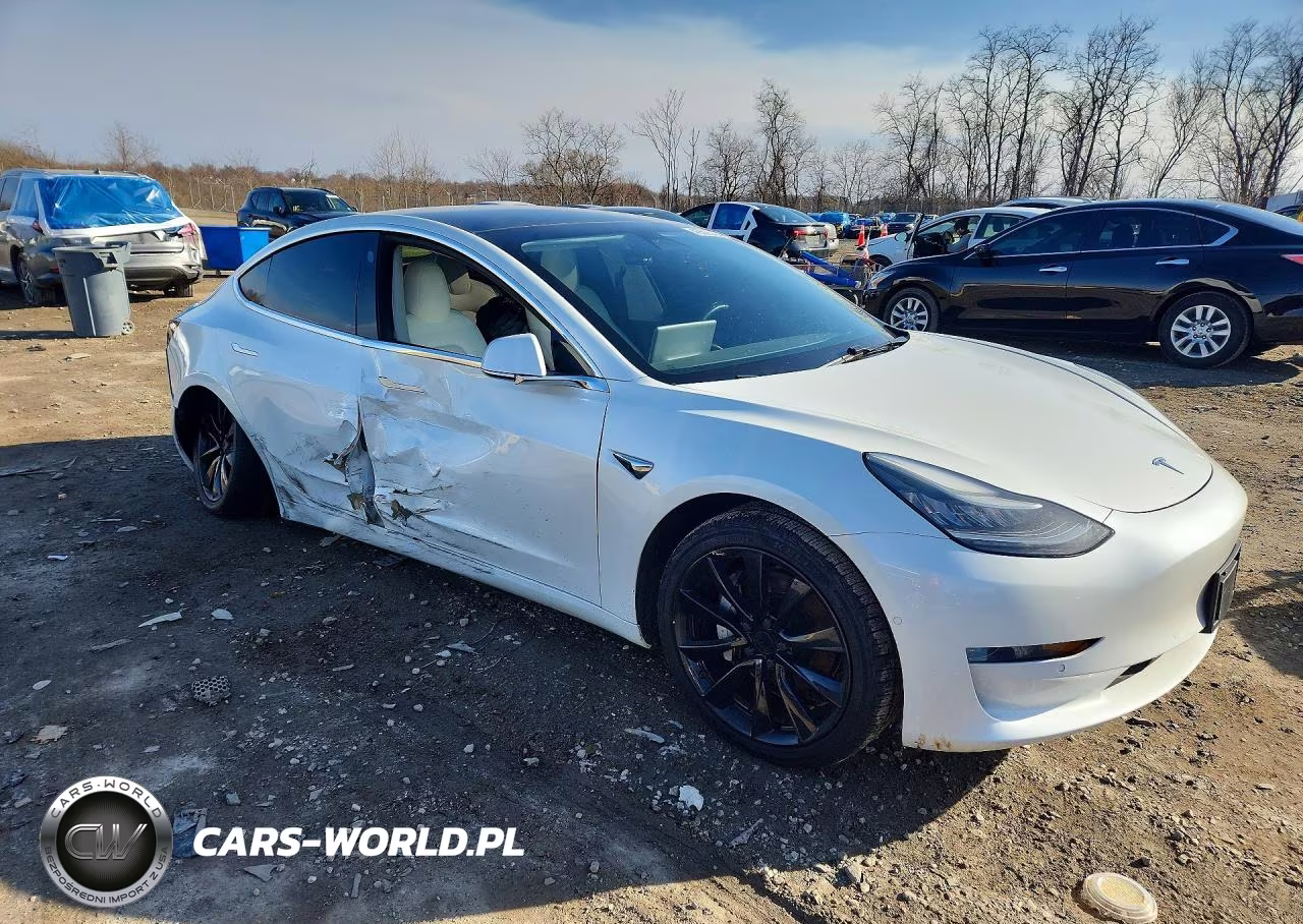 2019 Tesla Model 3 VIN:5YJ3E1EB6KF494934 - 4