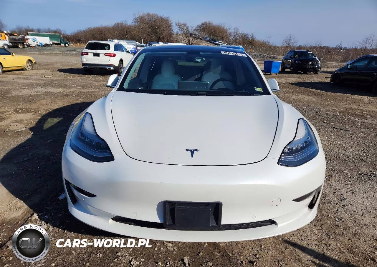2019 Tesla Model 3 VIN:5YJ3E1EB6KF494934 - 5