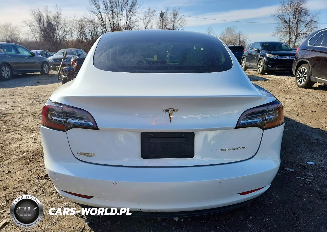 2019 Tesla Model 3 VIN:5YJ3E1EB6KF494934 - 6
