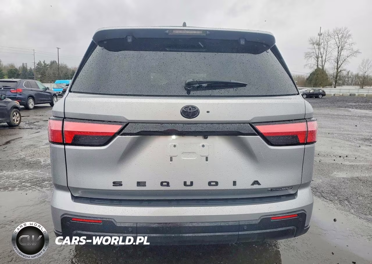 2025 Toyota Sequoia Platinum VIN:7SVAAABA1SX054274 - 6