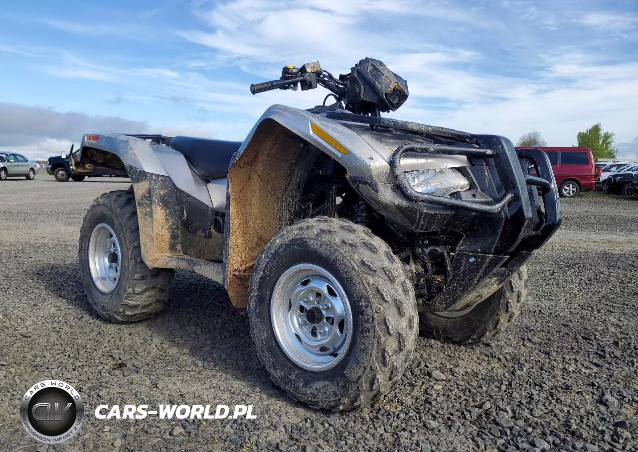 2026 Honda Fourtrax Rubicon Atv – zdjęcie 1 z 10