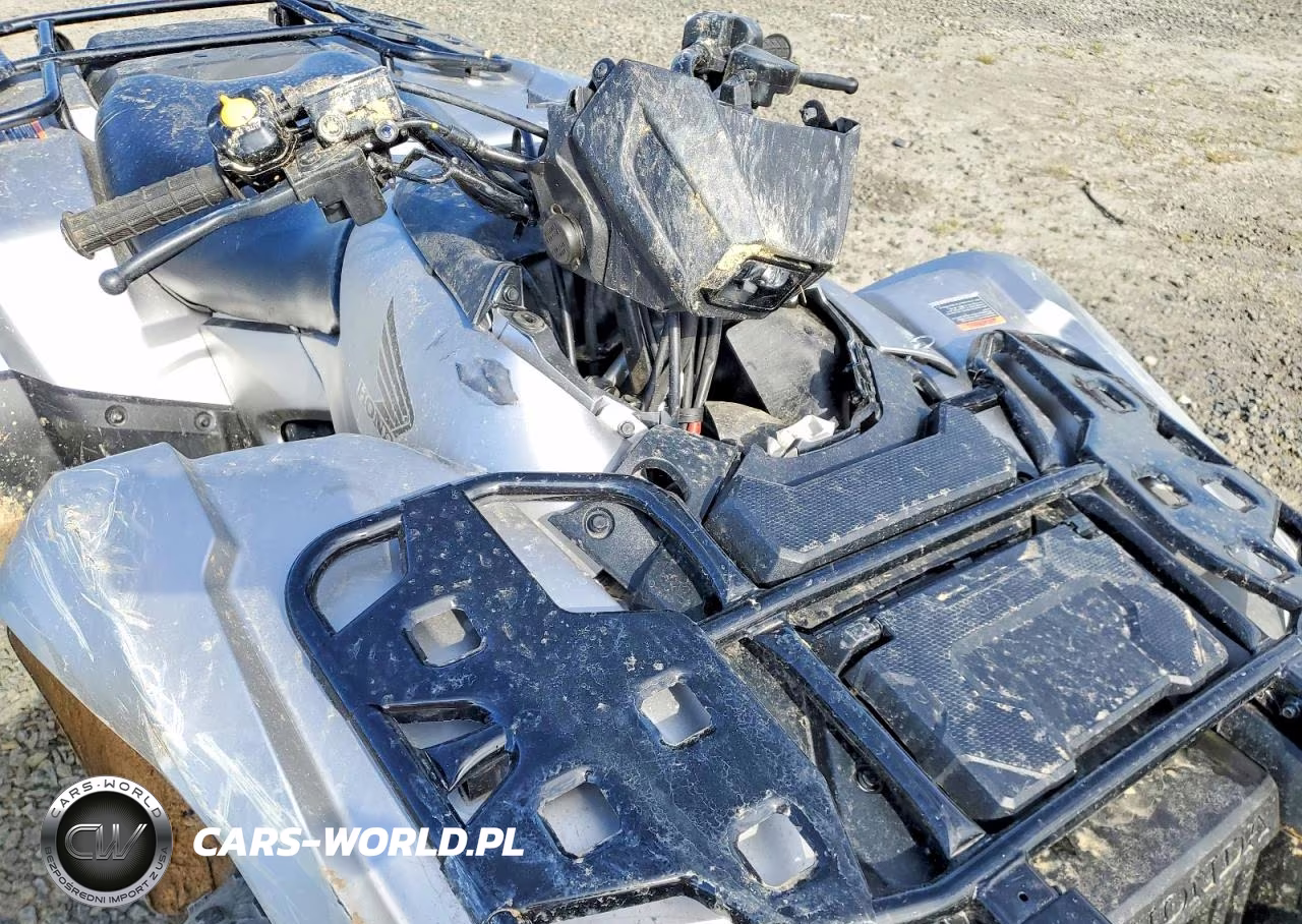 2026 Honda Fourtrax Rubicon Atv VIN:1HFTE3322TJ200203 - 10