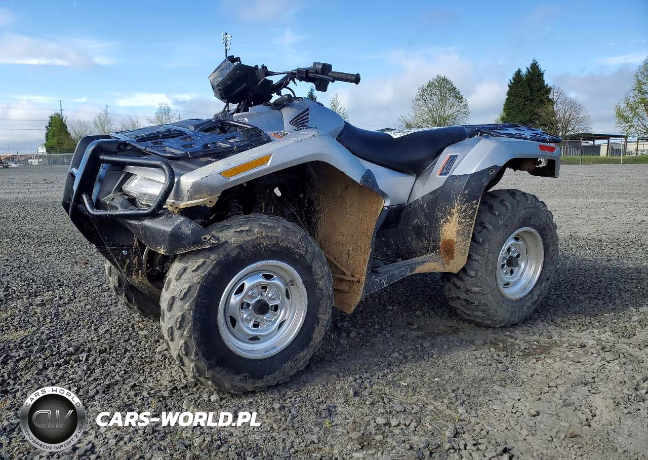 2026 Honda Fourtrax Rubicon Atv VIN:1HFTE3322TJ200203 - 2