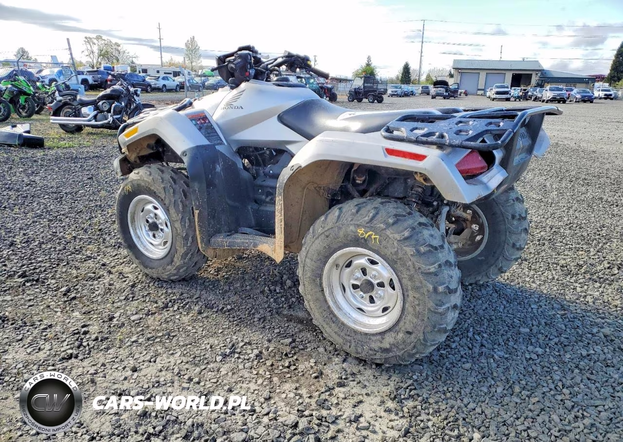 2026 Honda Fourtrax Rubicon Atv VIN:1HFTE3322TJ200203 - 3