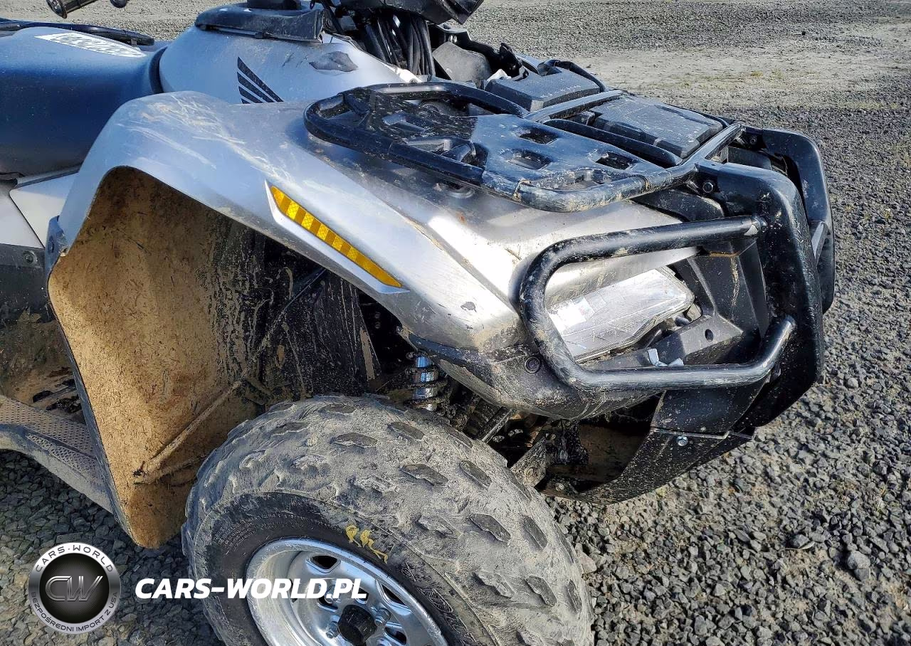 2026 Honda Fourtrax Rubicon Atv VIN:1HFTE3322TJ200203 - 9