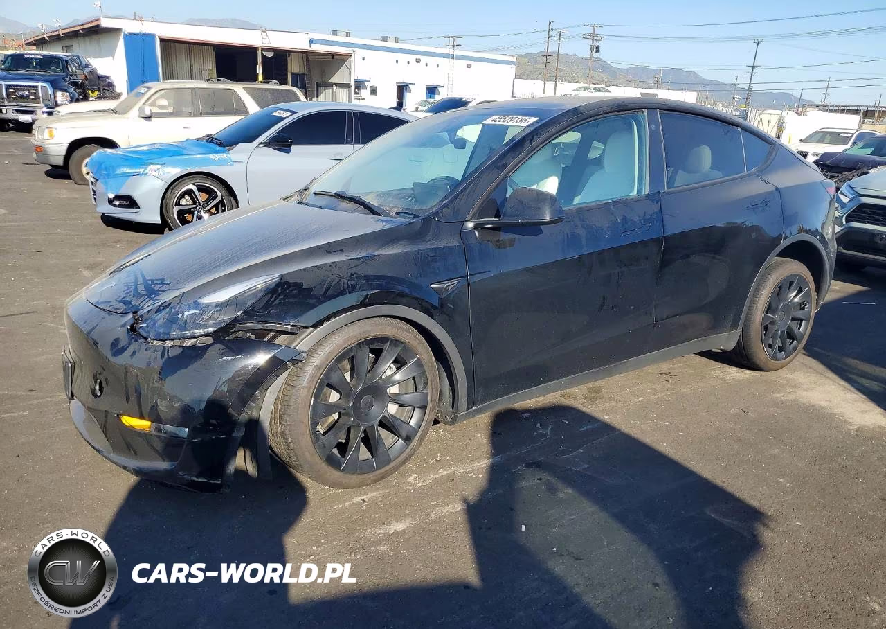 2023 Tesla Model Y VIN:7SAYGDEEXPF624266 - 1