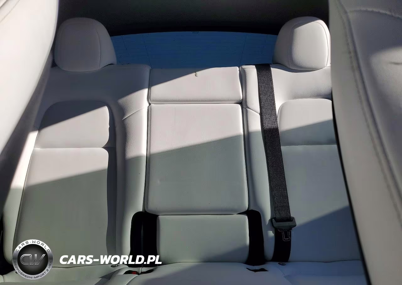 2023 Tesla Model Y VIN:7SAYGDEEXPF624266 - 10