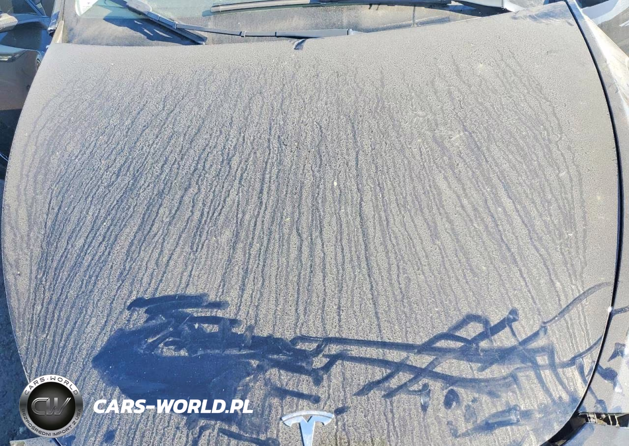 2023 Tesla Model Y VIN:7SAYGDEEXPF624266 - 12