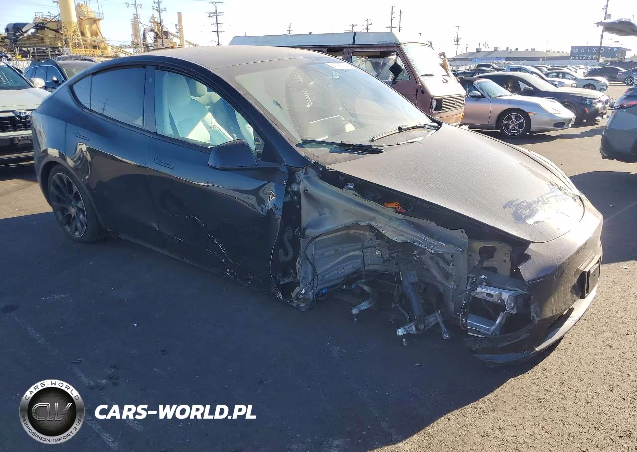 2023 Tesla Model Y VIN:7SAYGDEEXPF624266 - 4