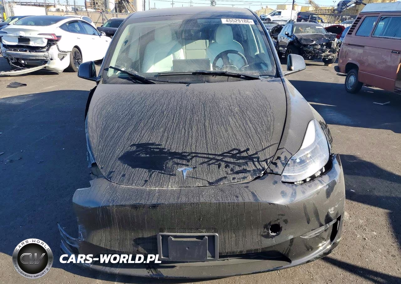 2023 Tesla Model Y VIN:7SAYGDEEXPF624266 - 5