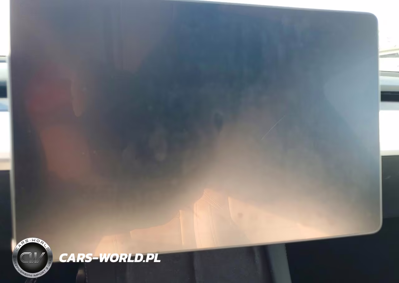 2023 Tesla Model Y VIN:7SAYGDEEXPF624266 - 9