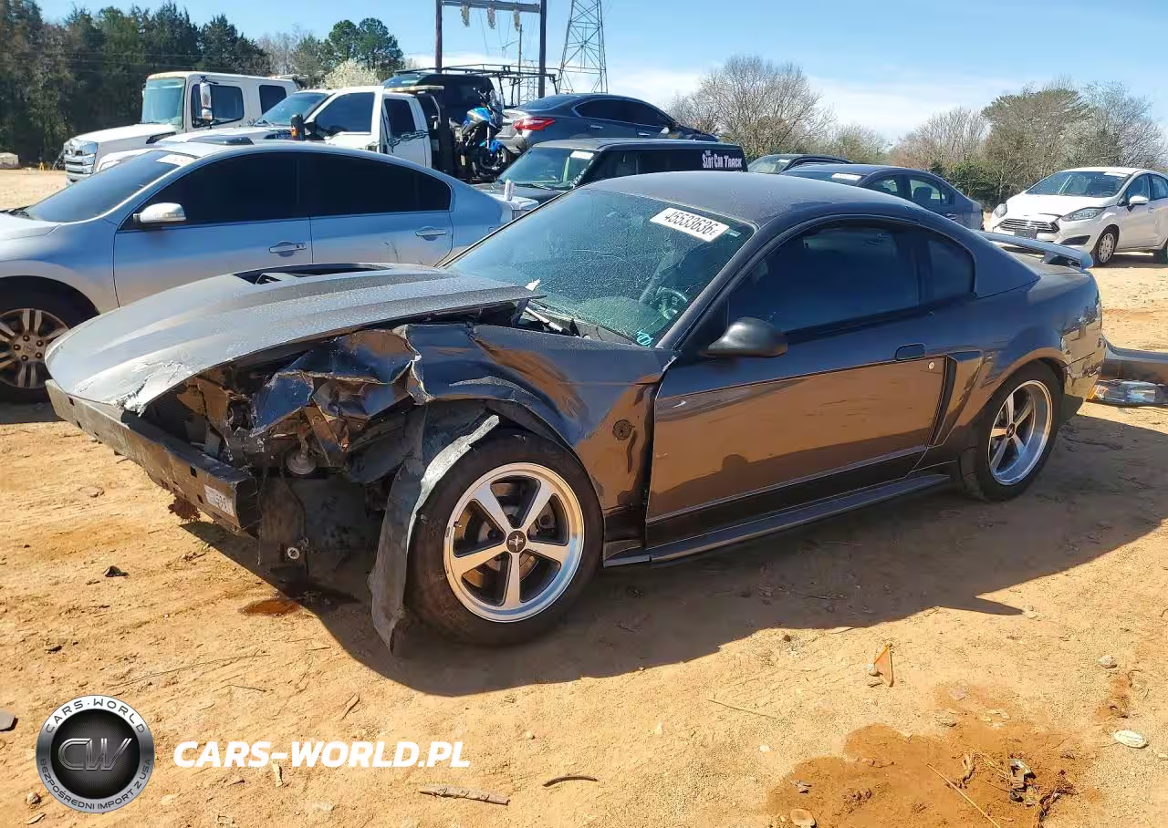 2004 Ford Mustang Mach I