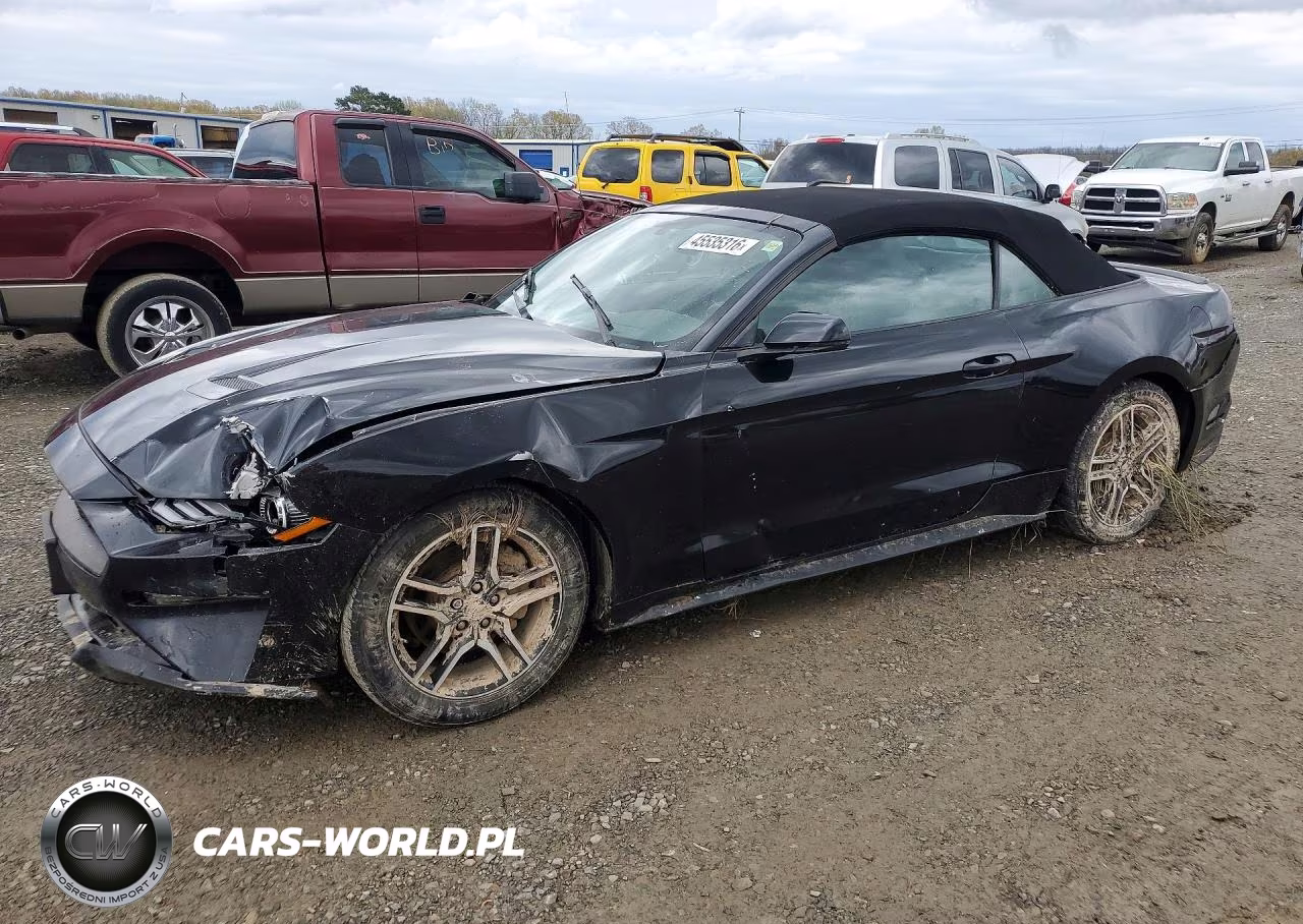 2019 Ford Mustang