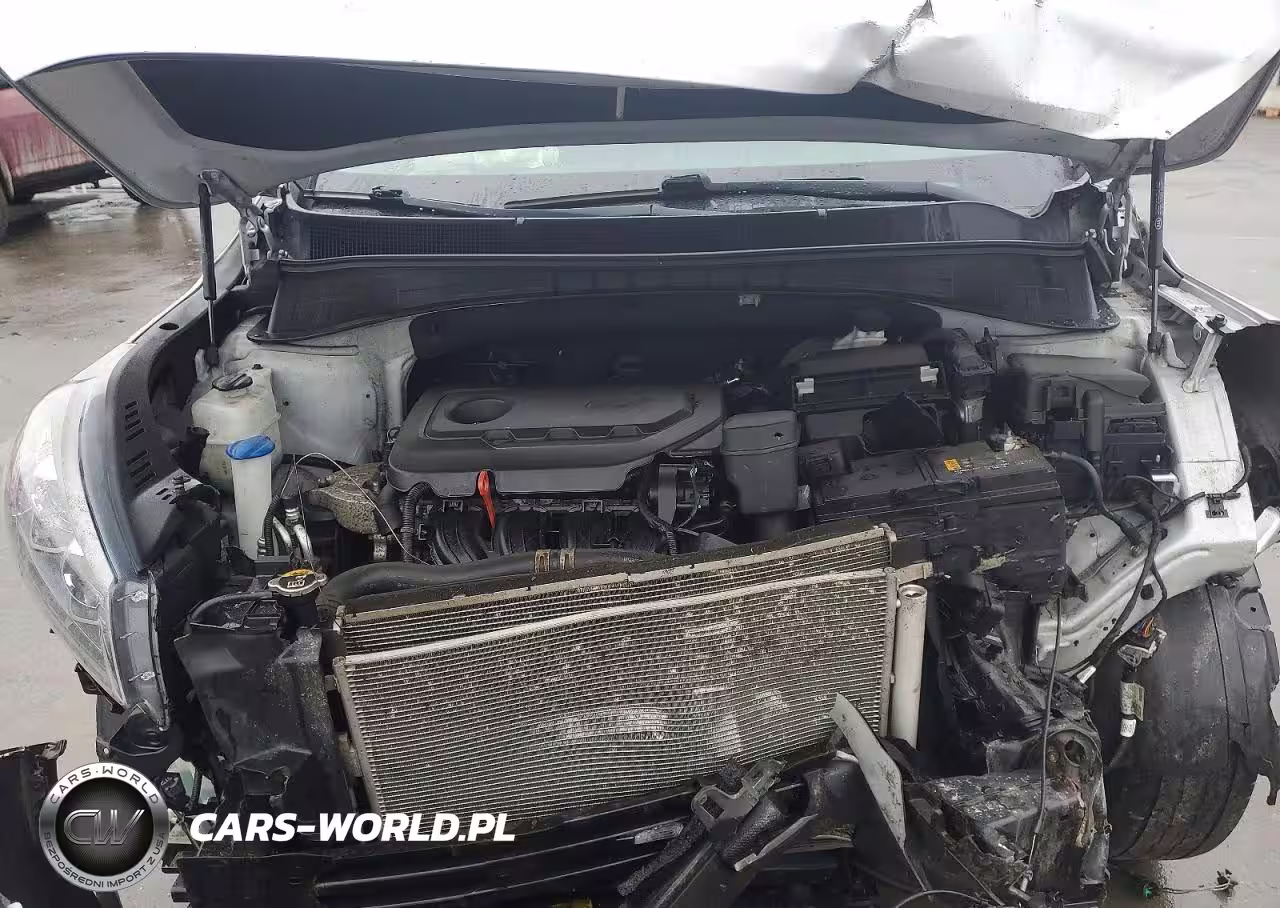 2019 Kia Sorento Lx VIN:5XYPGDA30KG563184 - 12