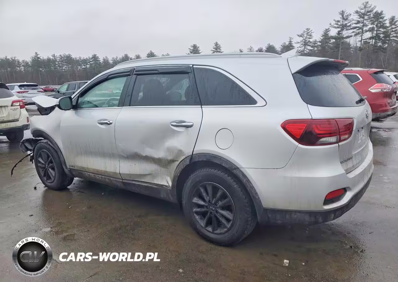 2019 Kia Sorento Lx VIN:5XYPGDA30KG563184 - 2