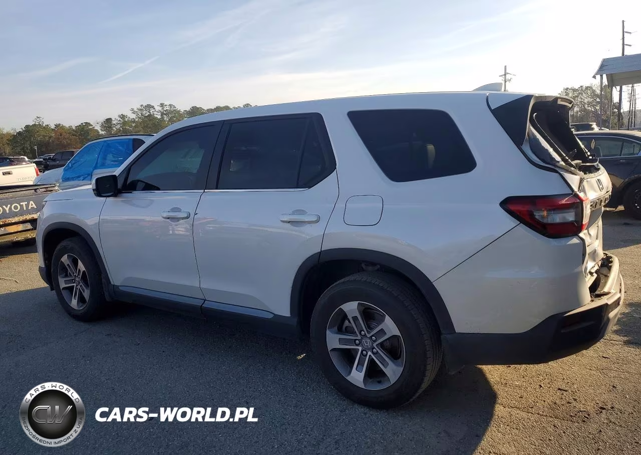 2024 Honda Pilot Exl VIN:5FNYG2H57RB011828 - 2