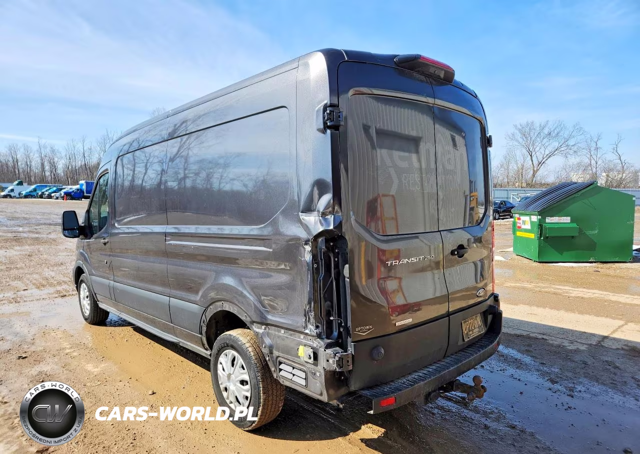 2020 Ford Transit T-250 VIN:1FTBR1CG2LKA74431 - 2