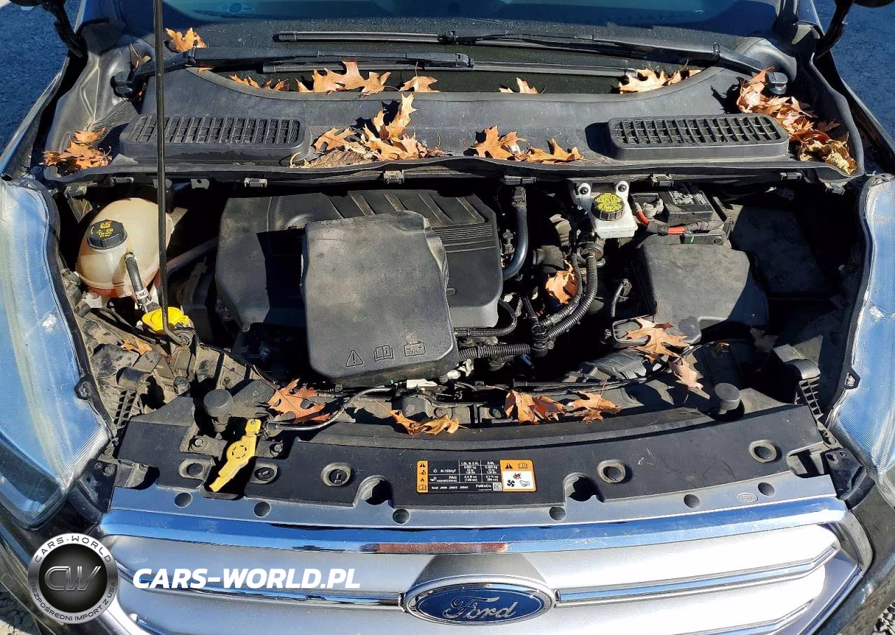 2017 Ford Escape Se VIN:1FMCU0GD4HUB82862 - 12