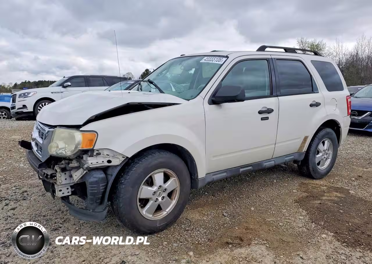 2011 Ford Escape Xlt