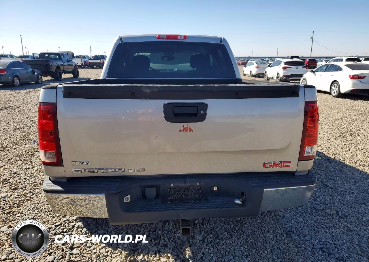 2009 GMC Sierra K1500 Sle VIN:3GTEK233X9G113514 - 6