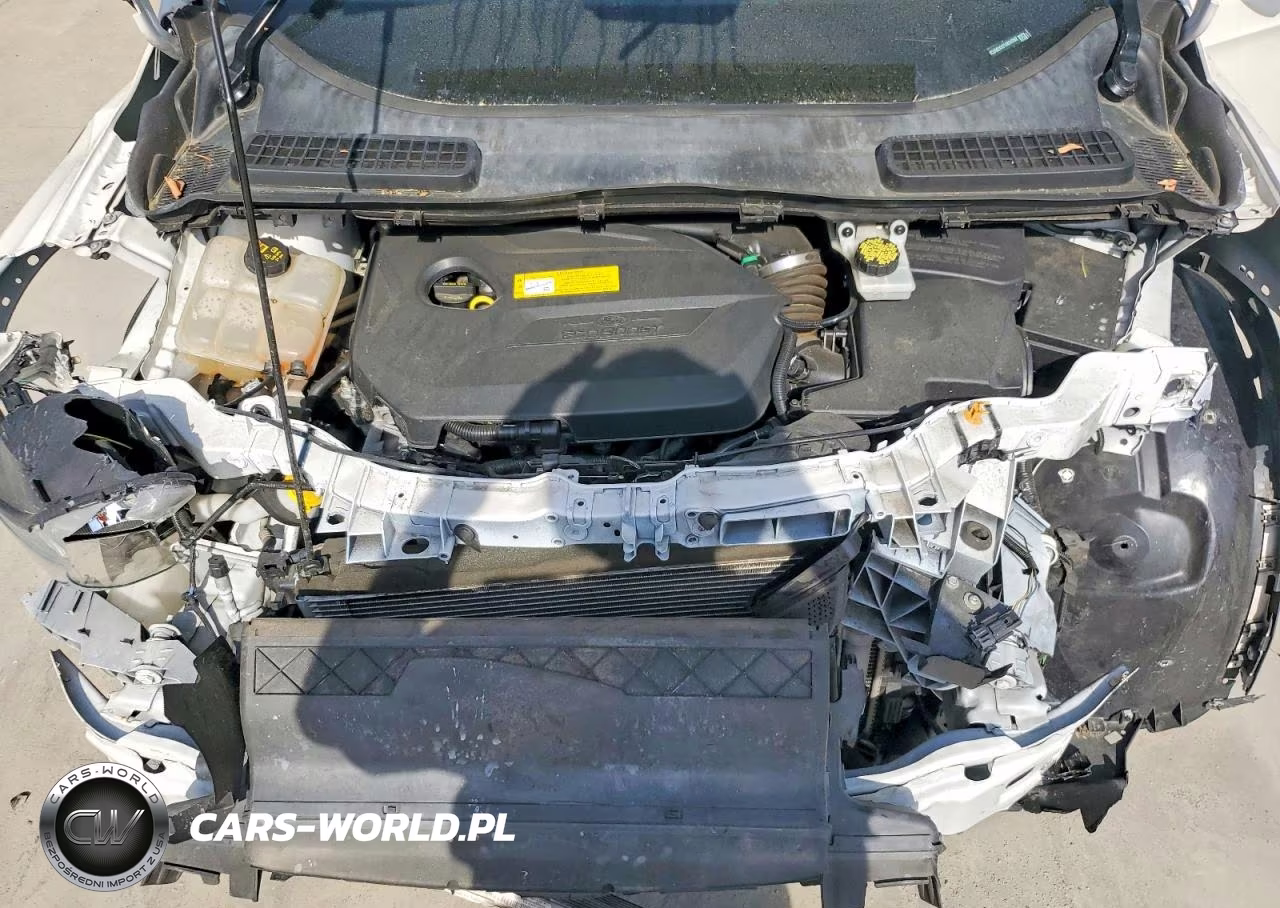 2015 Ford Escape Se VIN:1FMCU0GXXFUB24262 - 12