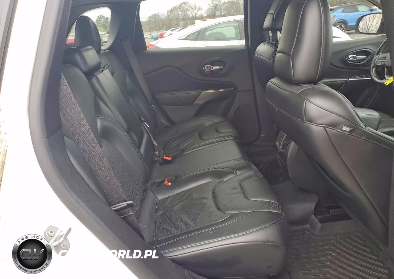2019 Jeep Cherokee Limited VIN:1C4PJLDX5KD462411 - 11