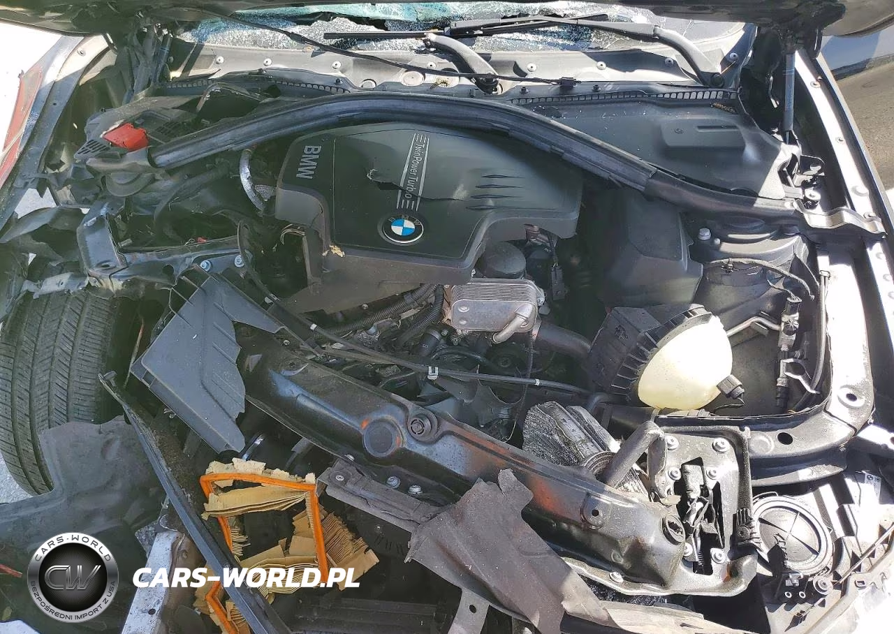 2014 BMW 320 I VIN:WBA3B1G53ENS78672 - 11