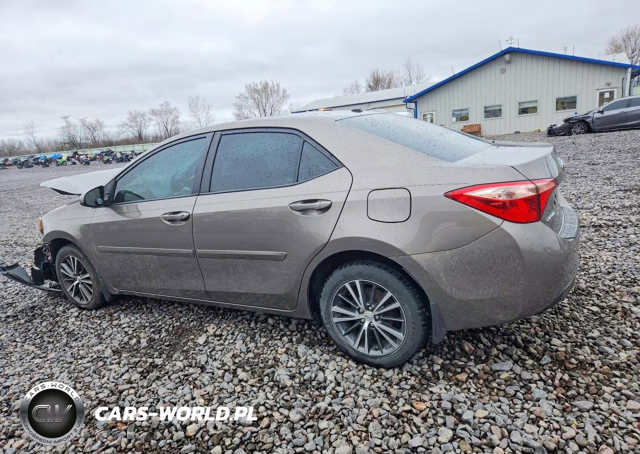 2019 Toyota Corolla Le VIN:2T1BURHE6KC226666 - 2