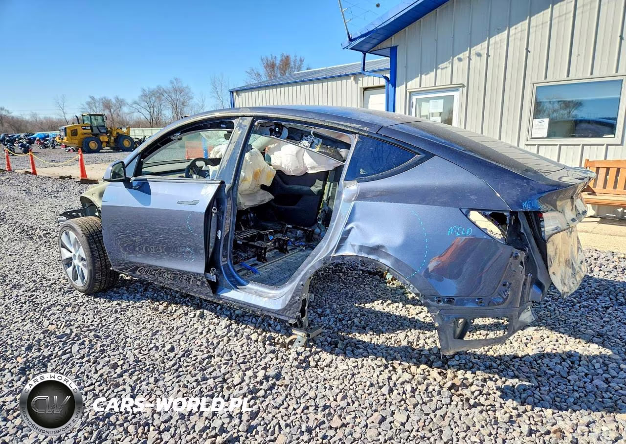 2022 Tesla Model Y VIN:7SAYGDEE1NA015609 - 2