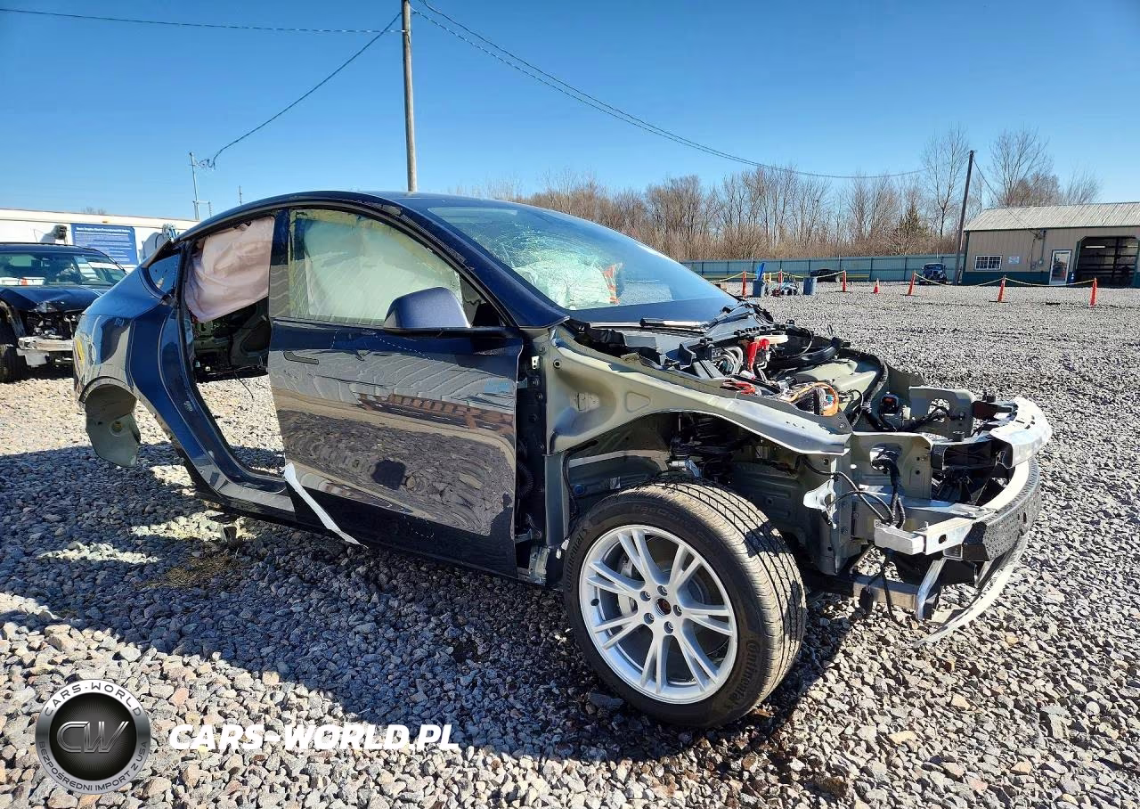 2022 Tesla Model Y VIN:7SAYGDEE1NA015609 - 4
