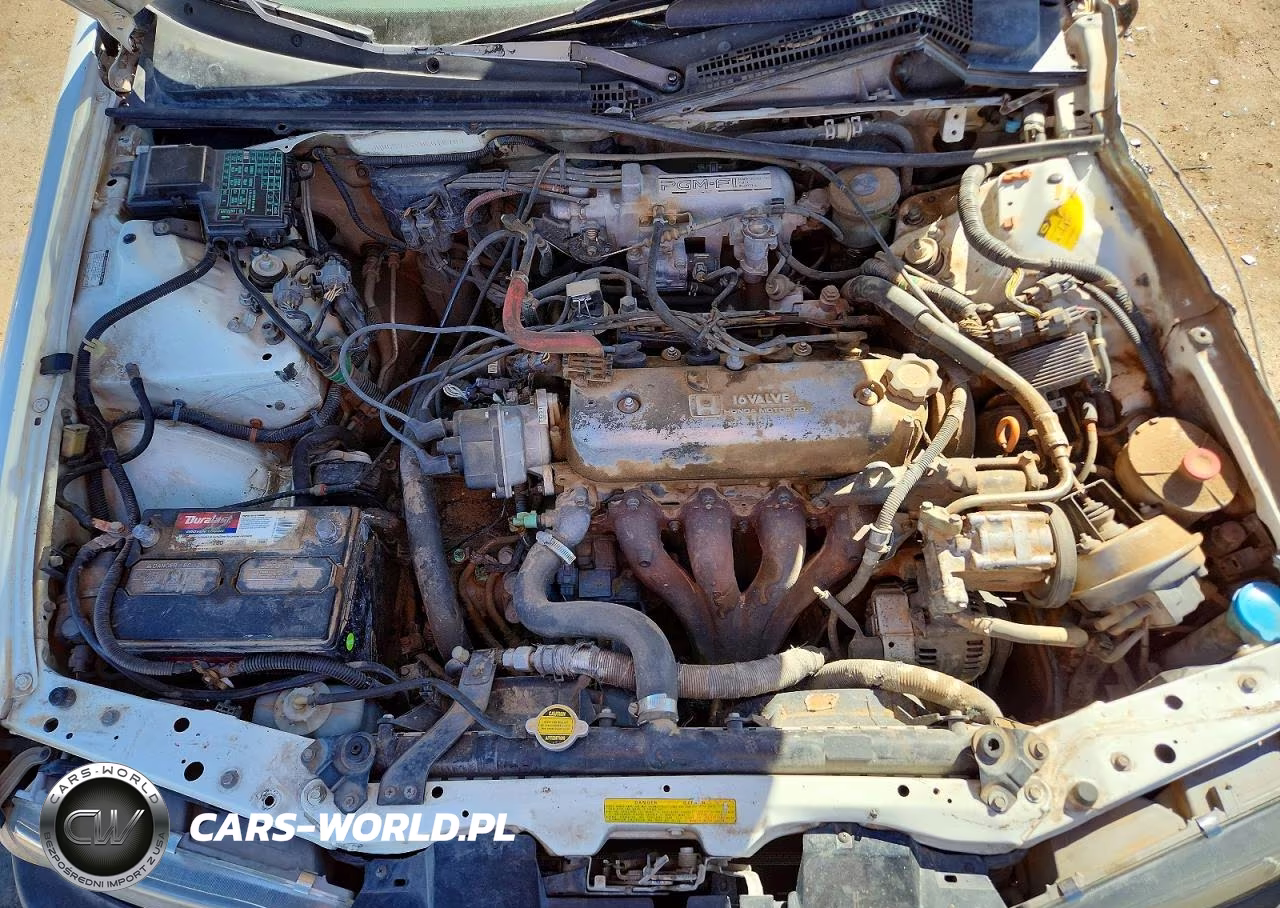 1991 Honda Accord Lx VIN:JHMCB7658MC010703 - 11