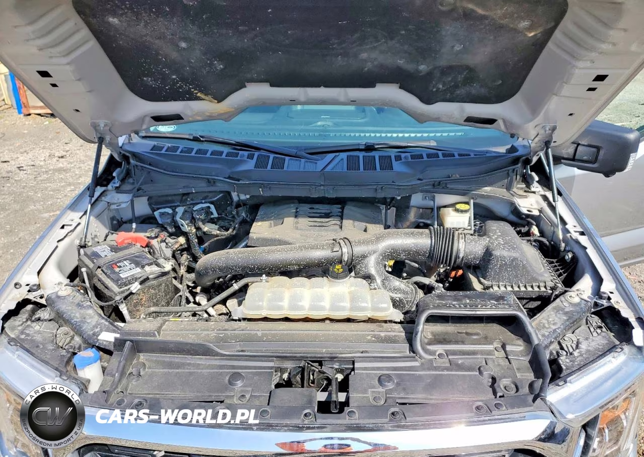 2021 Ford F150 Supercrew VIN:1FTFW1E82MKD68056 - 11
